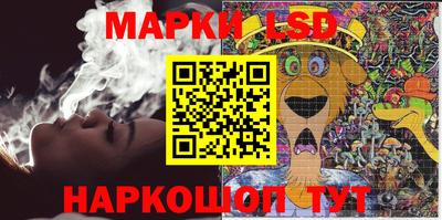 кокс Гатчина