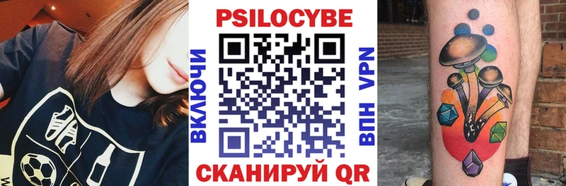 где продают   blacksprut как зайти  Галлюциногенные грибы Psilocybine cubensis  Волхов 
