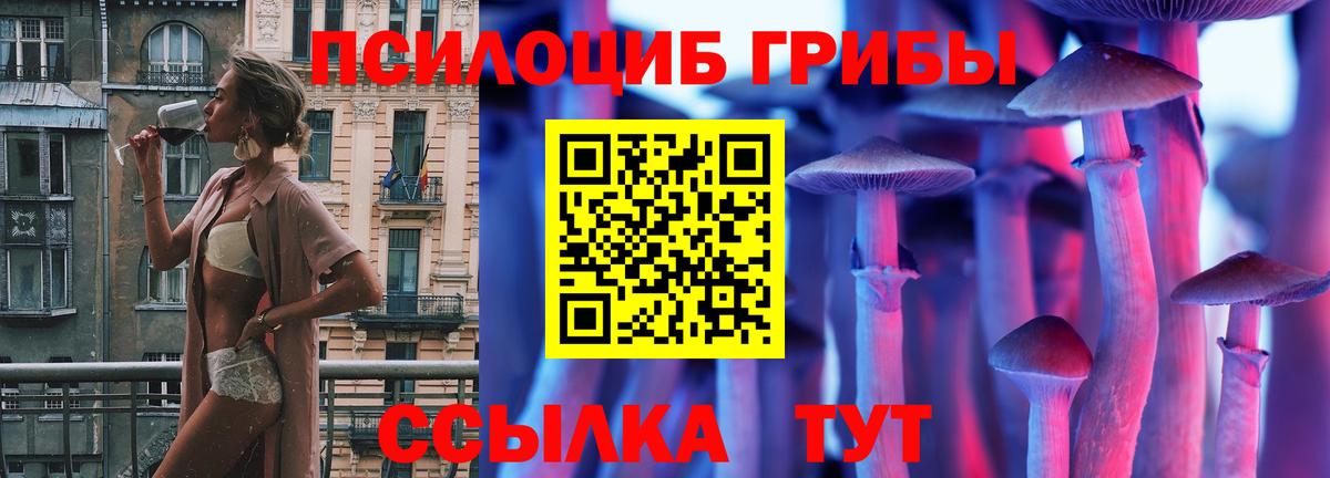 Псилоцибиновые грибы GOLDEN TEACHER  Волхов 