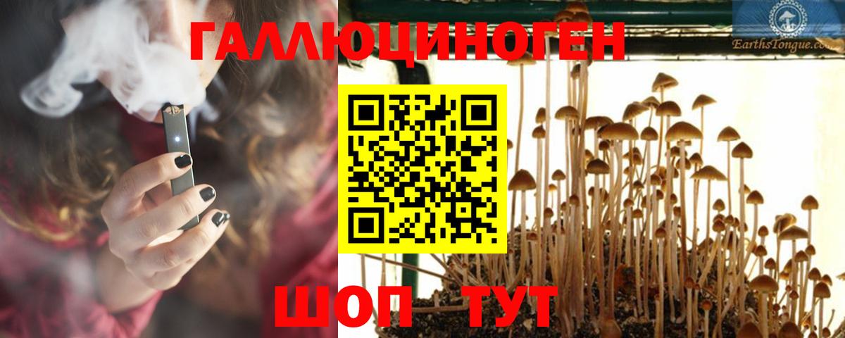 Псилоцибиновые грибы Psilocybine cubensis  Вход с VPN  Волхов 
