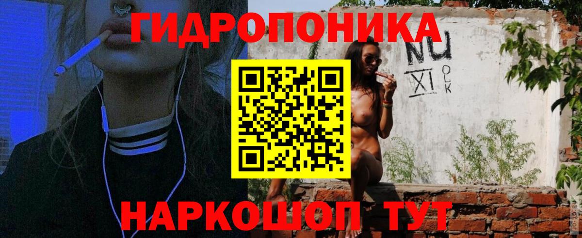 Конопля сатива  Шишки марихуана ГИДРОПОН  Вход с VPN  Волхов  Канабис Amnesia 