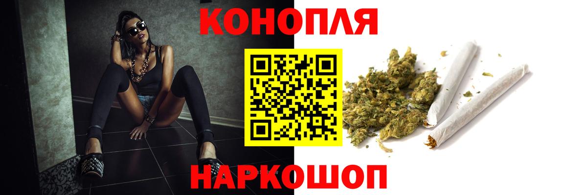 Конопля семена  Марихуана сатива  Волхов 